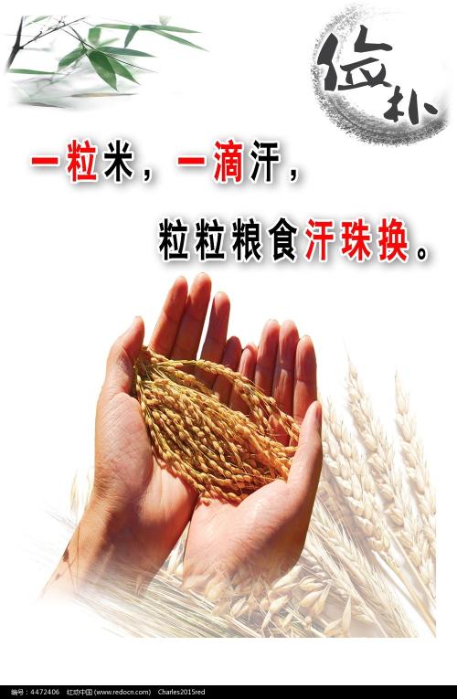 哪里能办麦卡利斯特学院成绩单